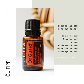 Gerüche im Auto - onGuard