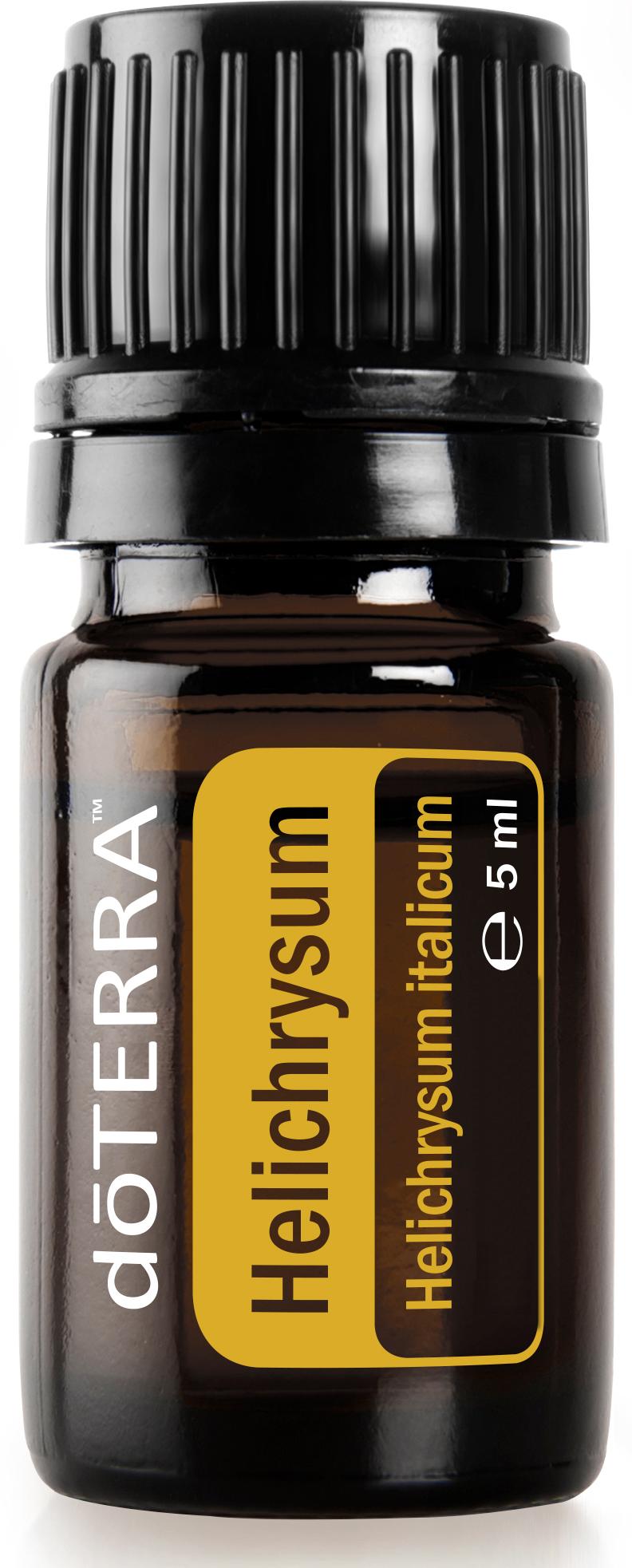 Helichrysum (Strohblume)