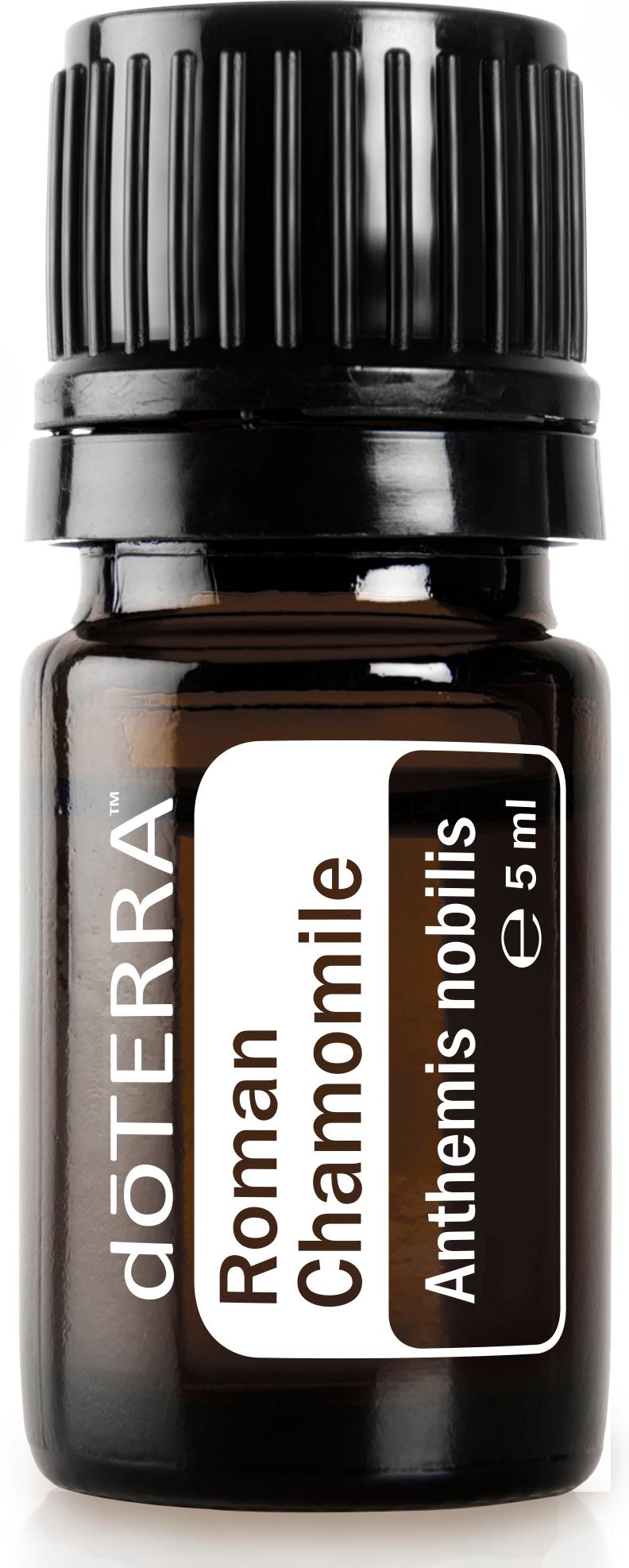 Roman Chamomile (Römische Kamille)